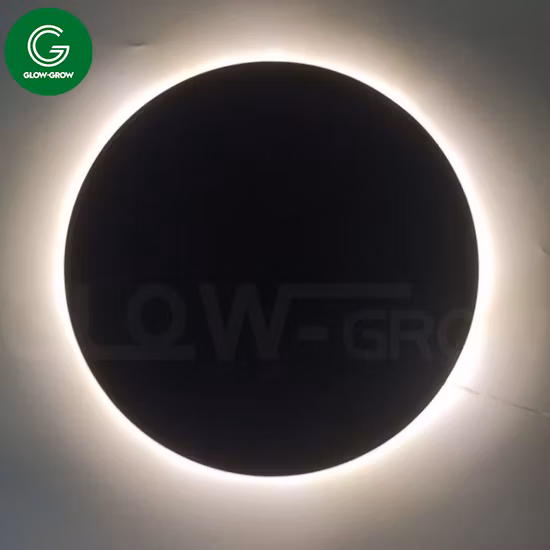 Guirnalda de luces LED con motivo de estrella de madera plana de 30cm con tablero blanco para decoración navideña, festiva y festiva en casa